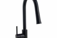 Upgrade Your Kitchen With A Sleek Black Faucet